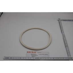 [121R0001-01/201579] Door Seal Inflatable 260 New Type Viton White, Compound R1436-70, Rev F